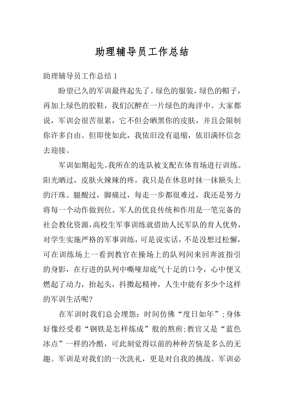 助理辅导员工作总结例文.docx_第1页