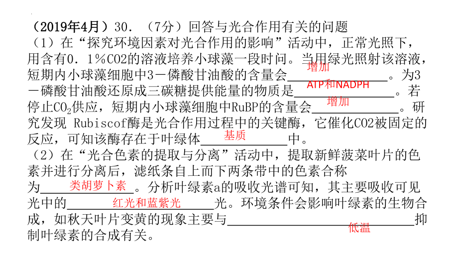 高三生物一轮复习课件：光合作用.pptx_第2页