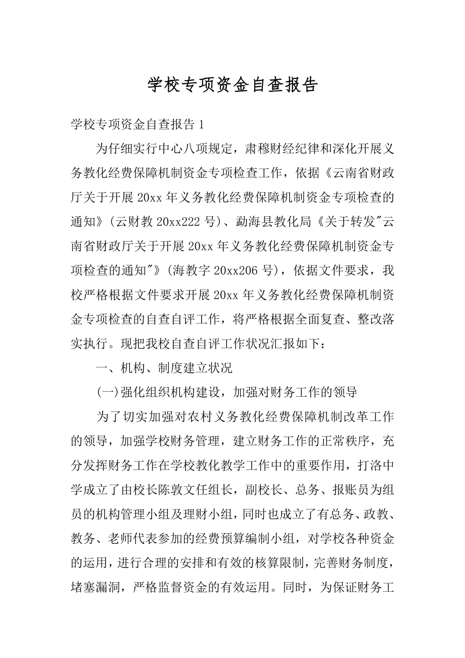 学校专项资金自查报告汇编.docx_第1页