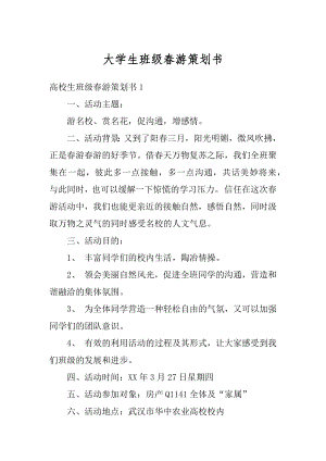 大学生班级春游策划书精选.docx