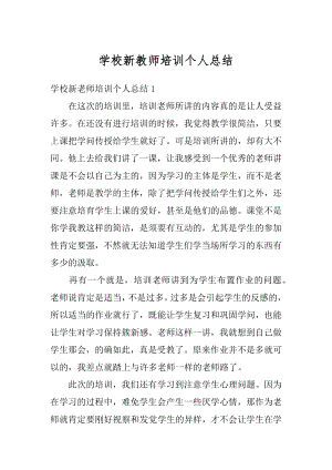 学校新教师培训个人总结范文.docx