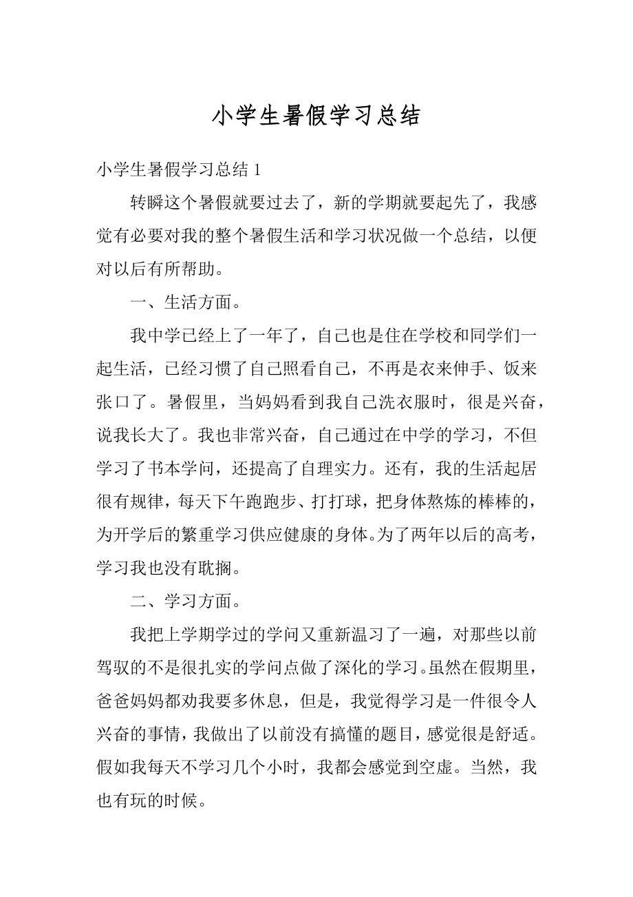 小学生暑假学习总结例文.docx_第1页