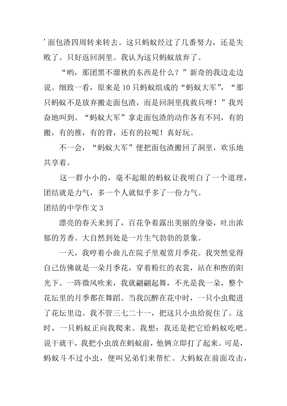 团结的高中作文汇总.docx_第2页