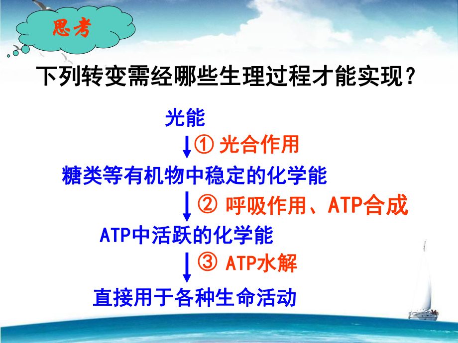 光合作用捕获光能的色素和结构ppt课件.ppt_第2页