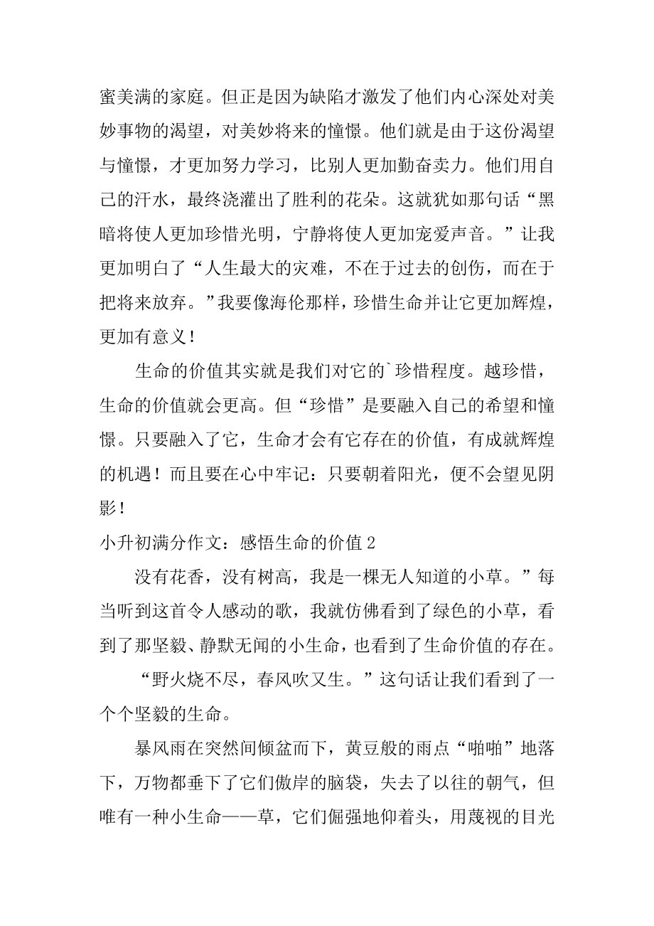 小升初满分作文：感悟生命的价值例文.docx_第2页