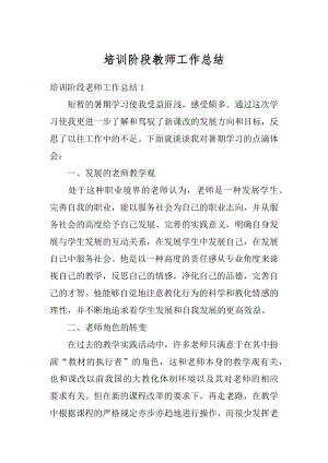 培训阶段教师工作总结优质.docx