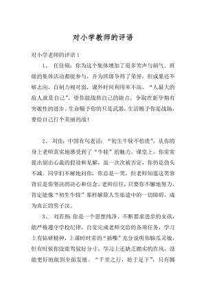 对小学教师的评语优质.docx