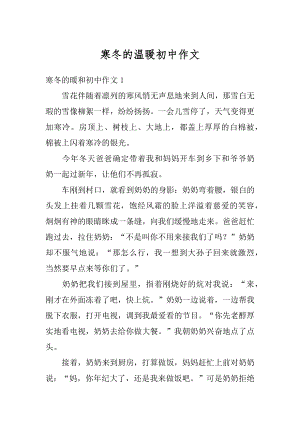 寒冬的温暖初中作文精编.docx