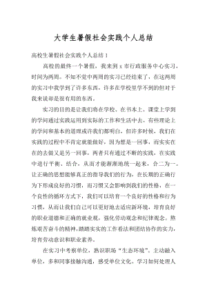 大学生暑假社会实践个人总结例文.docx