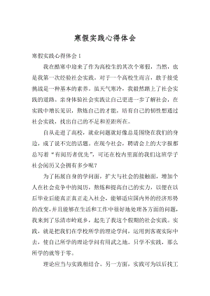 寒假实践心得体会精编.docx