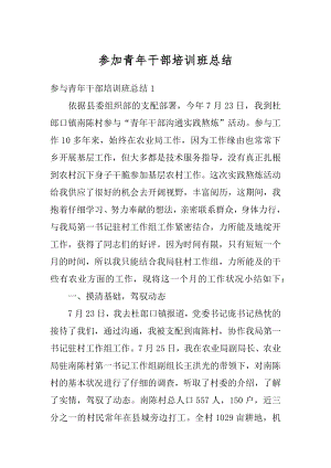 参加青年干部培训班总结精编.docx