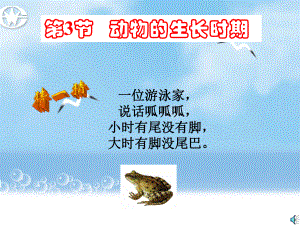 动物的生长时期ppt课件.ppt