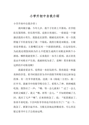 小学升初中自我介绍范文.docx