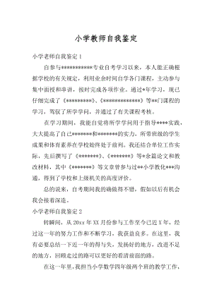 小学教师自我鉴定精编.docx