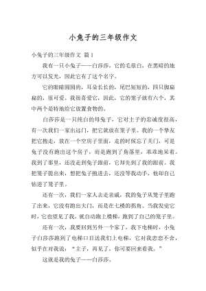 小兔子的三年级作文精选.docx