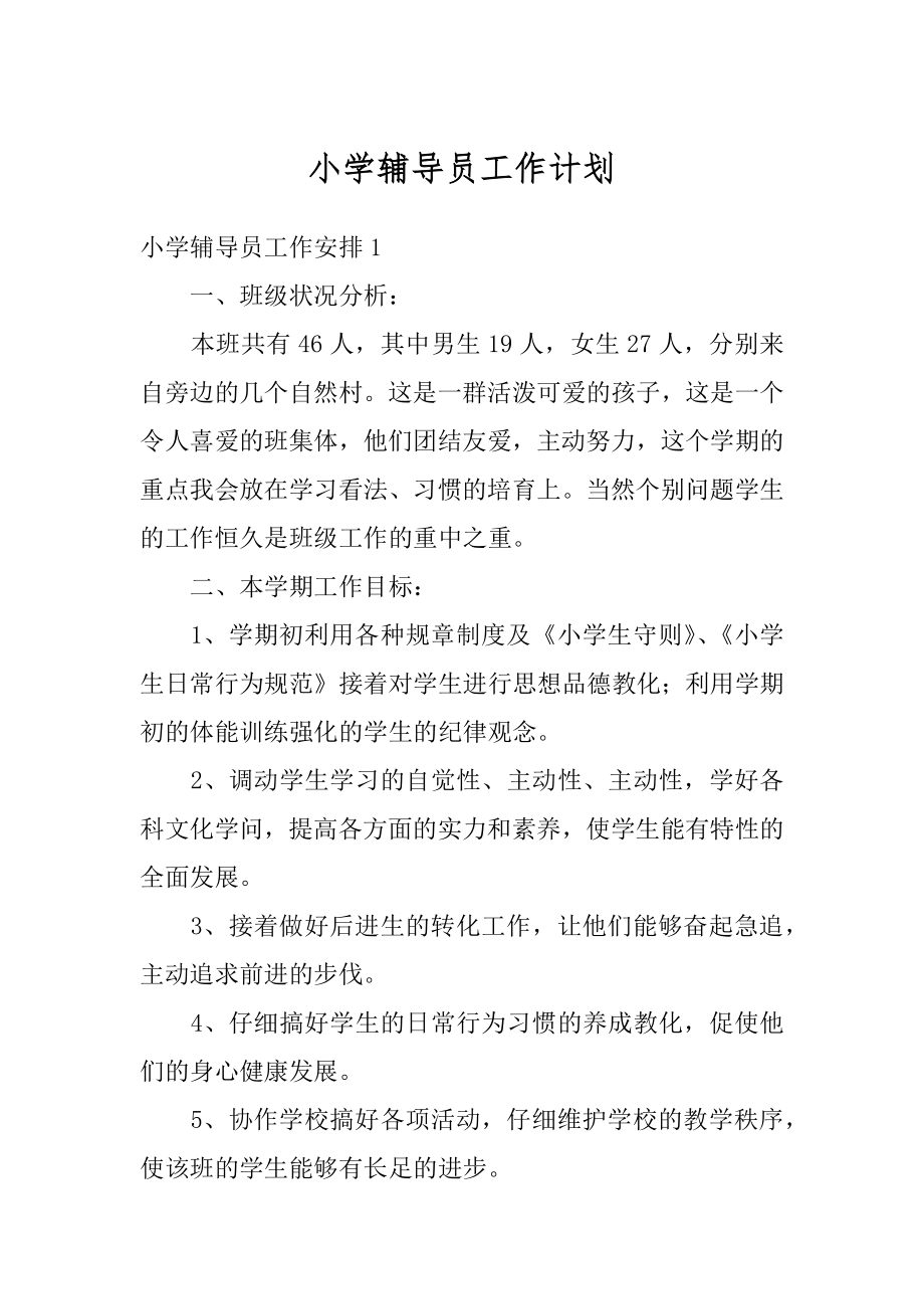 小学辅导员工作计划精编.docx_第1页