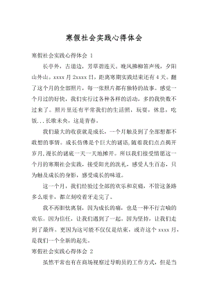 寒假社会实践心得体会例文.docx