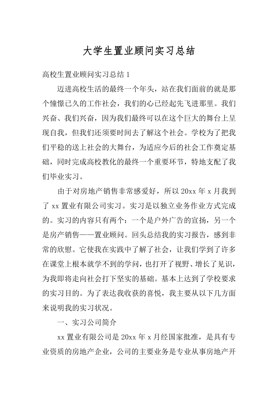 大学生置业顾问实习总结例文.docx_第1页