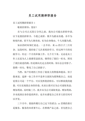 员工试用期辞职报告汇总.docx