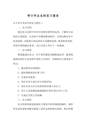 审计毕业生的实习报告最新.docx