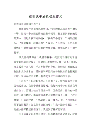 在尝试中成长初三作文汇总.docx