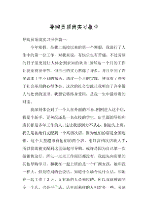 导购员顶岗实习报告范文.docx