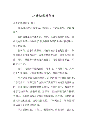 小升初感想作文精选.docx