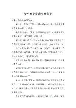 初中社会实践心得体会精编.docx