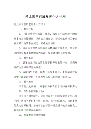 幼儿园学前班教师个人计划汇总.docx