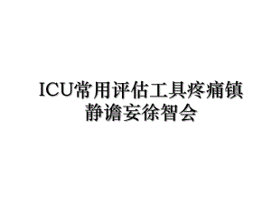 ICU常用评估工具疼痛镇静谵妄徐智会.ppt