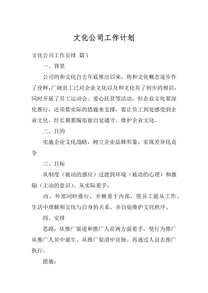 文化公司工作计划精编.docx