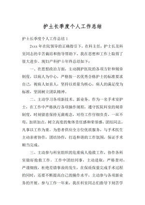 护土长季度个人工作总结例文.docx