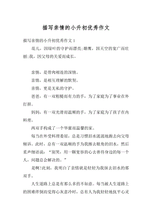 描写亲情的小升初优秀作文汇编.docx