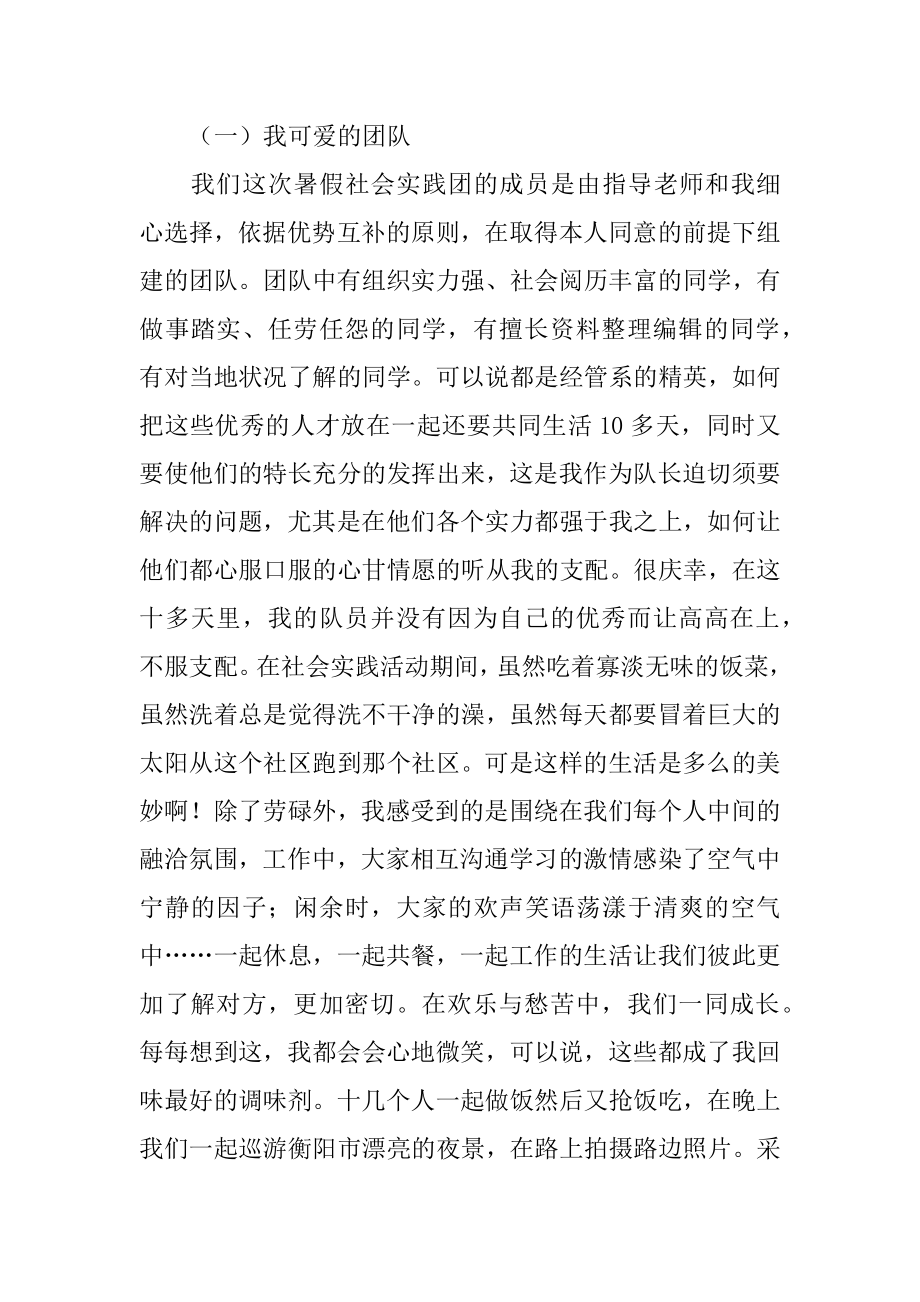 暑假三下乡社会实践活动个人总结精品.docx_第2页