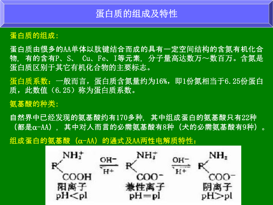 最新十章蛋白质和氨基酸的测定精品课件.ppt_第2页