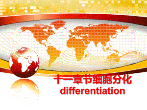 最新十一章节细胞分化differentiation精品课件.ppt