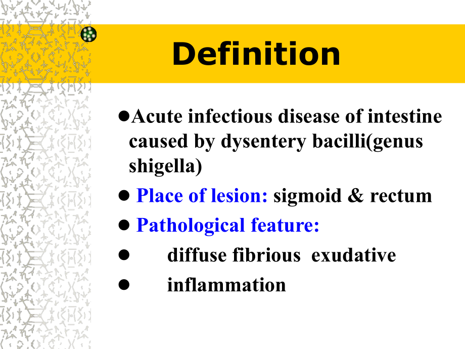 最新医学痢疾幻灯片.ppt_第2页