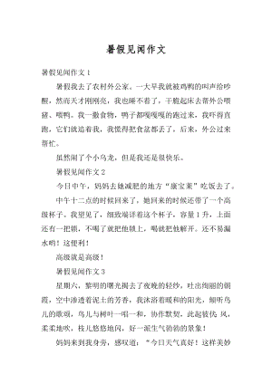 暑假见闻作文最新.docx