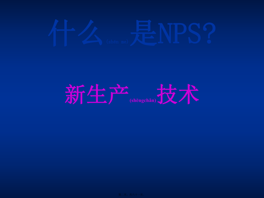 最新NPS生产系统方案经验(共61张PPT课件).pptx_第2页