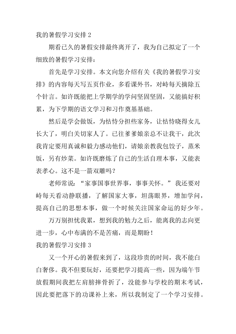 我的暑假学习计划精编.docx_第2页