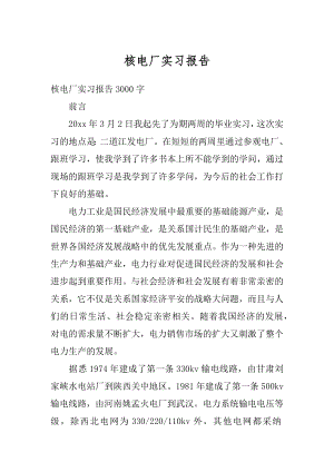 核电厂实习报告汇总.docx