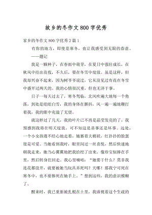 故乡的冬作文800字优秀最新.docx