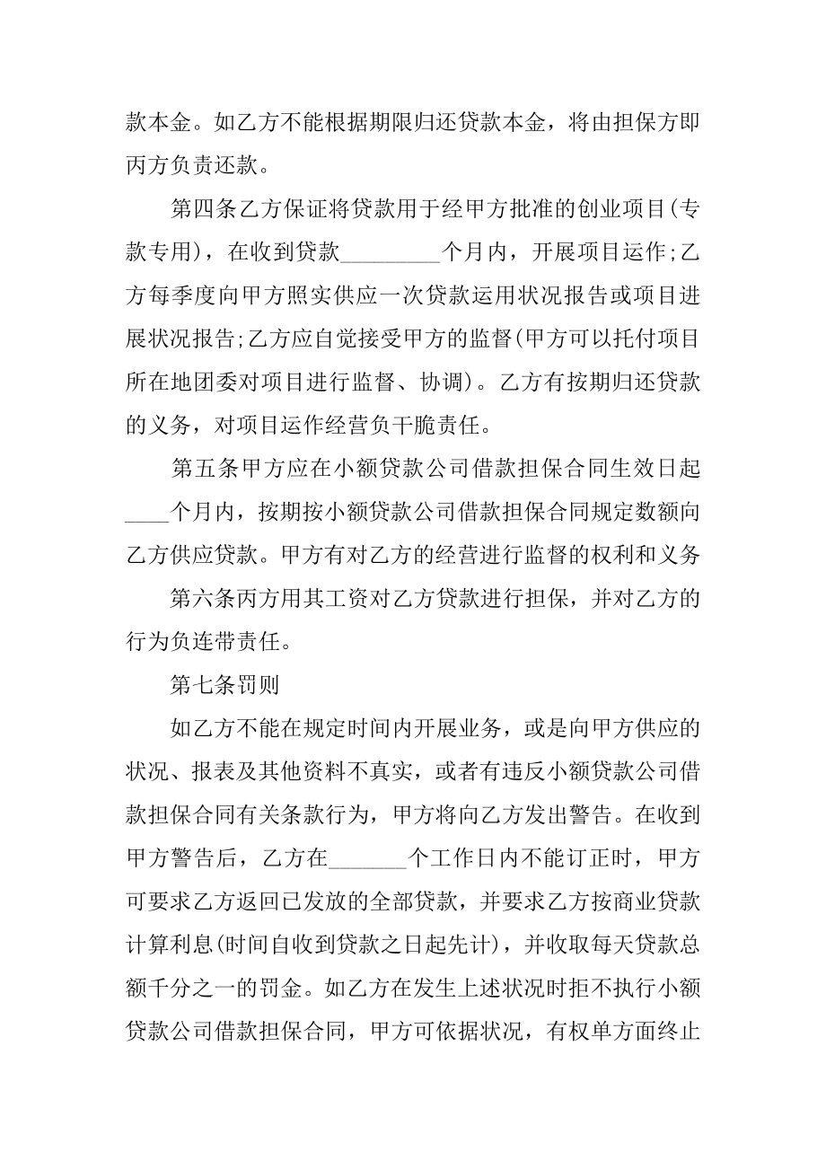 小额贷款借款合同精编.docx_第2页