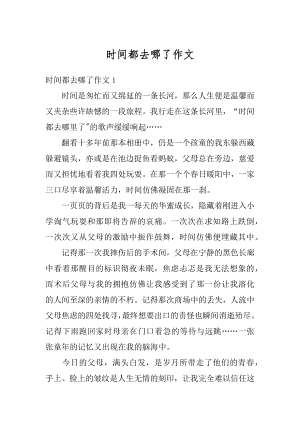 时间都去哪了作文最新.docx