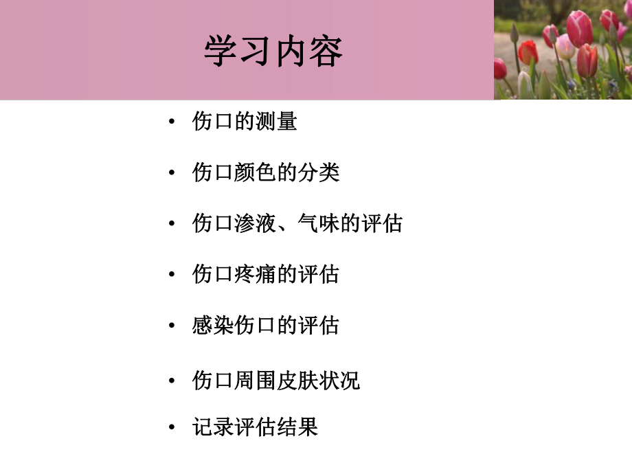 最新压疮的评估与记录PPT课件.ppt_第2页