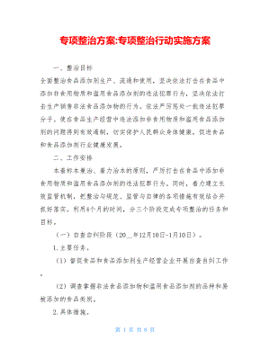 专项整治方案-专项整治行动实施方案.doc