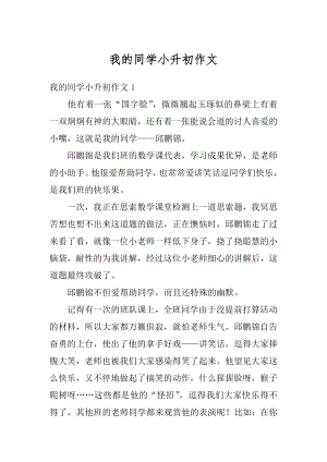 我的同学小升初作文精选.docx