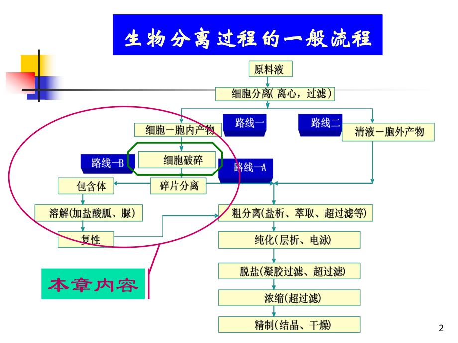 最新十五章节细胞破碎ppt课件.ppt_第2页