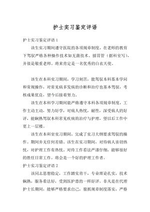 护士实习鉴定评语例文.docx