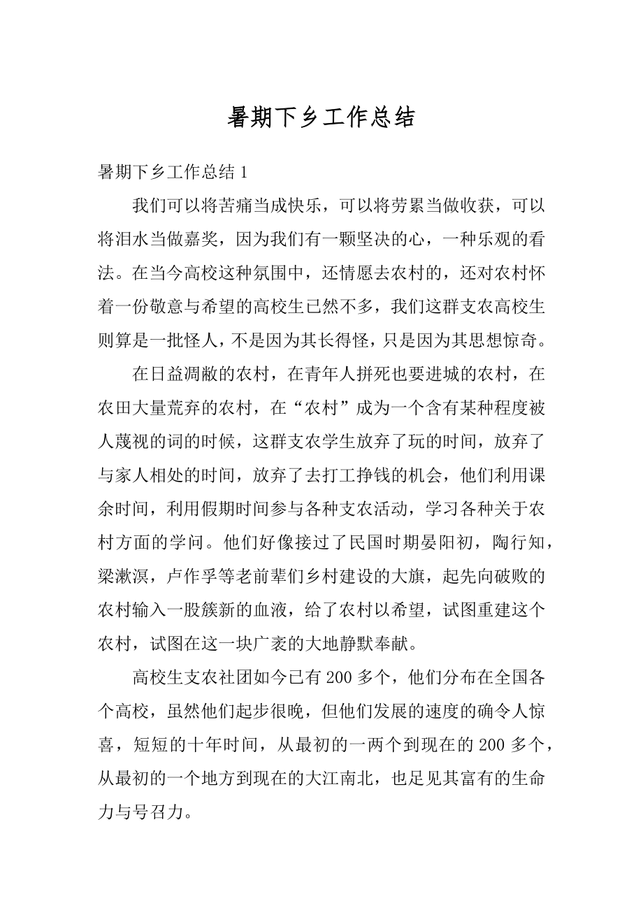 暑期下乡工作总结优质.docx_第1页